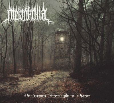 Vividarium Intervigilium Viator